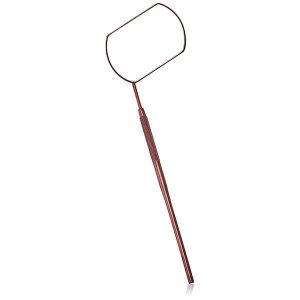 Lash Mirror
