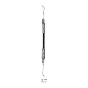 Oval Spoon 19W