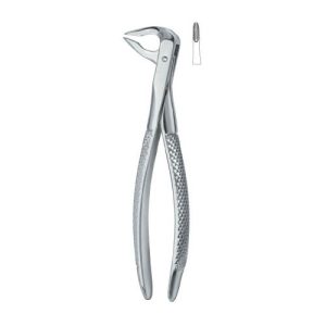 Tooth Extracting Forceps (ENG)